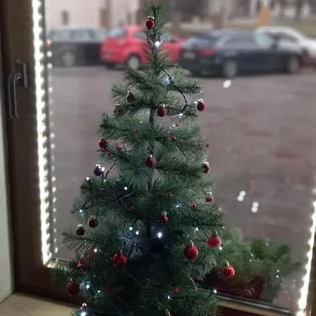 ゲストハウス Sachseneck